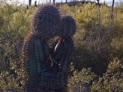 Kumpulan Tatapan Benda Mati yang Bikin Terkejut