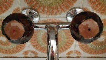 Seperti ada dua mata yang mengintip malu-malu. Foto: Brightside