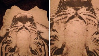 Coba perhatikan, jika gambar berang-berang sedang marah ini diputar akan berubah jadi harimau. (Foto: Brightside)