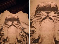 Kumpulan Tatapan Benda Mati yang Bikin Terkejut