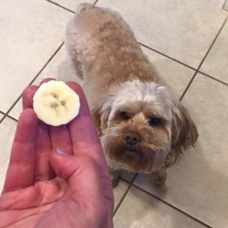 foto pareidolia seram