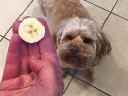 Kumpulan Tatapan Benda Mati yang Bikin Terkejut