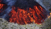 Penelitian yang dilakukan para ahli itu masih terus berlangsung. Beberapa faktor alam lain yang diduga mempengaruhi antara lain perubahan suhu air laut hingga keberadaan gunung berapi Piton de la Fournaise di pulau Reunion. (AFP)