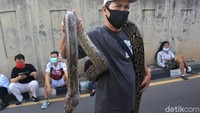 Seperti diketahui, CFD Kota Bekasi kembali digelar usai sebelumnya dihentikan selama beberapa bulan guna memutus rantai penyebaran virus Corona.