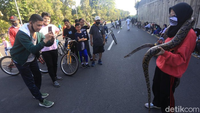 Hiii... Ada Ular di CFD Bekasi Lho Sejumlah warga berfoto dengan ular di CFD Kota Bekasi. Seperti diketahui, CFD kembali digelar di Kota Bekasi usai sebelumnya dihentikan guna cegah COVID-19.