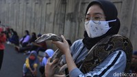 Kehadiran ular di CFD Kota Bekasi menarik perhatian masyarakat. Tak sedikit warga yang berhenti sejenak untuk berfoto dengan ular tersebut.