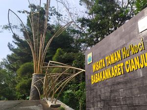 Foto: 5 Destinasi Wisata Alam Instagramable Punya Cianjur