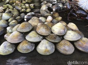 Samba Lokan Makanan Khas Mukomuko yang Berempah Lezat