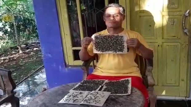 Ribuan lalat teror pemukiman warga di Sukabumi