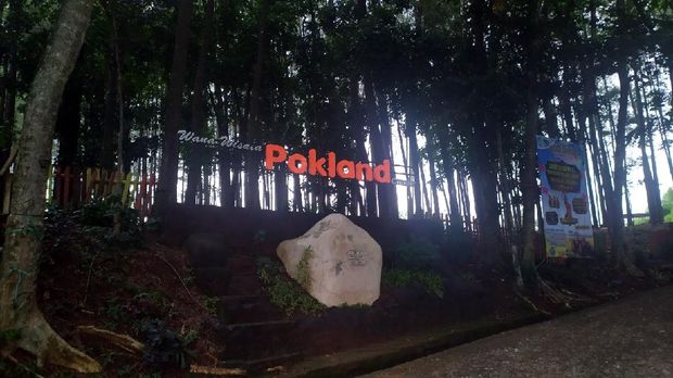 Wana Wisata Pinus Pokland