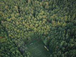 Deretan Foto Hijau yang Segarkan Mata