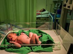 Deretan Foto Hijau yang Segarkan Mata