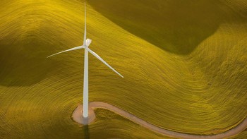 Kincir raksasa di tengah padang rumput. Istimewa/dok. Bored Panda/@jassensf  