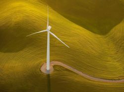 Deretan Foto Hijau yang Segarkan Mata