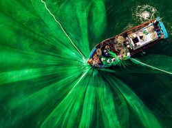 Deretan Foto Hijau yang Segarkan Mata