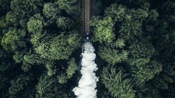 Potret lokomotif uap yang dibuat pada 1940-an ketika melewati hutan. Istimewa/dok. Bored Panda/@borsch  