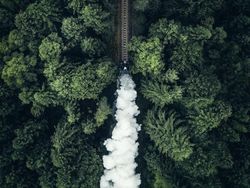 Deretan Foto Hijau yang Segarkan Mata