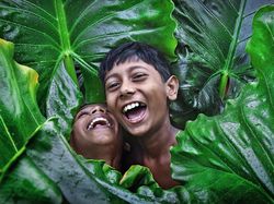 Deretan Foto Hijau yang Segarkan Mata