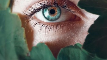 Mata hijau bercahaya yang sangat menakjubkan. Istimewa/dok. Bored Panda/@giza_1  