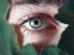 Deretan Foto Hijau yang Segarkan Mata