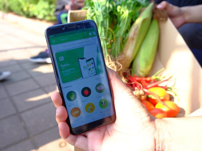 Aplikasi Belanja Sayur TaniIn (Tani Indonesia)