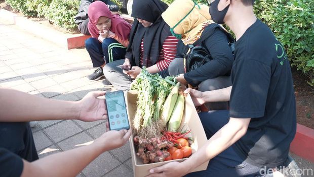Aplikasi Belanja Sayur TaniIn (Tani Indonesia)