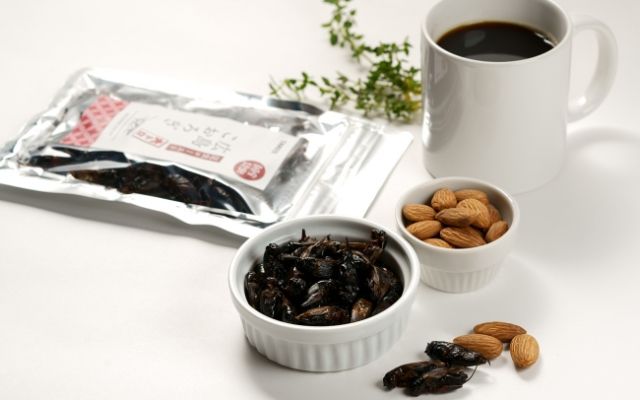Camilan Jangkrik Almond