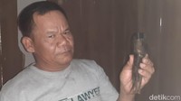 Sementara terkait temuan jenglot tersebut, Cokro memiliki dua teori. Pertama, jenglot tersebut sengaja dipasang untuk membuat heboh. Kedua, jenglot tersebut dibuang oleh pemilik lamanya.