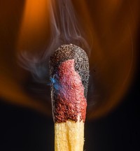 Foto Makro Mencengangkan