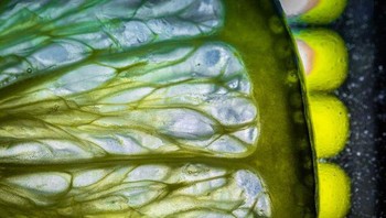 Jeruk nipis. Foto: Brightside