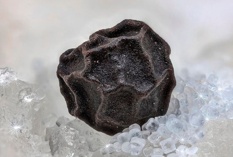 Foto Makro Mencengangkan