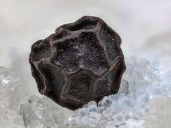 Bikin Mata Tercengang! Foto Makro Benda di Sekitar Kamu