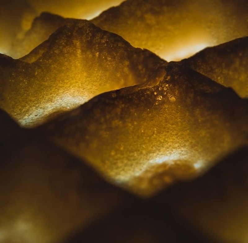 Foto Makro Mencengangkan