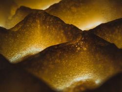 Bikin Mata Tercengang! Foto Makro Benda di Sekitar Kamu