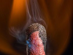 Bikin Mata Tercengang! Foto Makro Benda di Sekitar Kamu