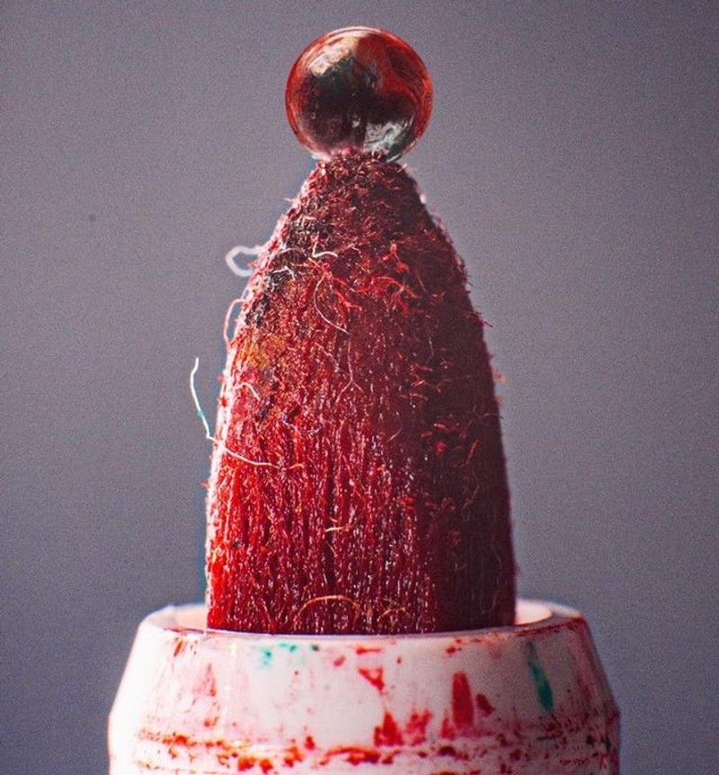 Foto Makro Mencengangkan