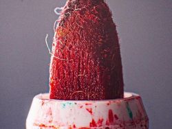 Bikin Mata Tercengang! Foto Makro Benda di Sekitar Kamu