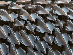 Bikin Mata Tercengang! Foto Makro Benda di Sekitar Kamu