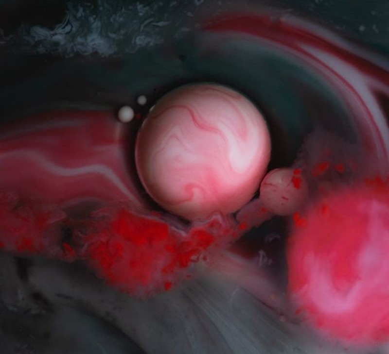 Foto Makro Mencengangkan