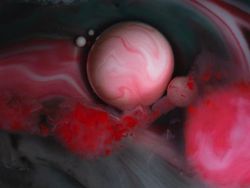 Bikin Mata Tercengang! Foto Makro Benda di Sekitar Kamu