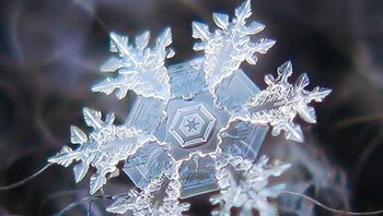 Salju. Foto: Brightside