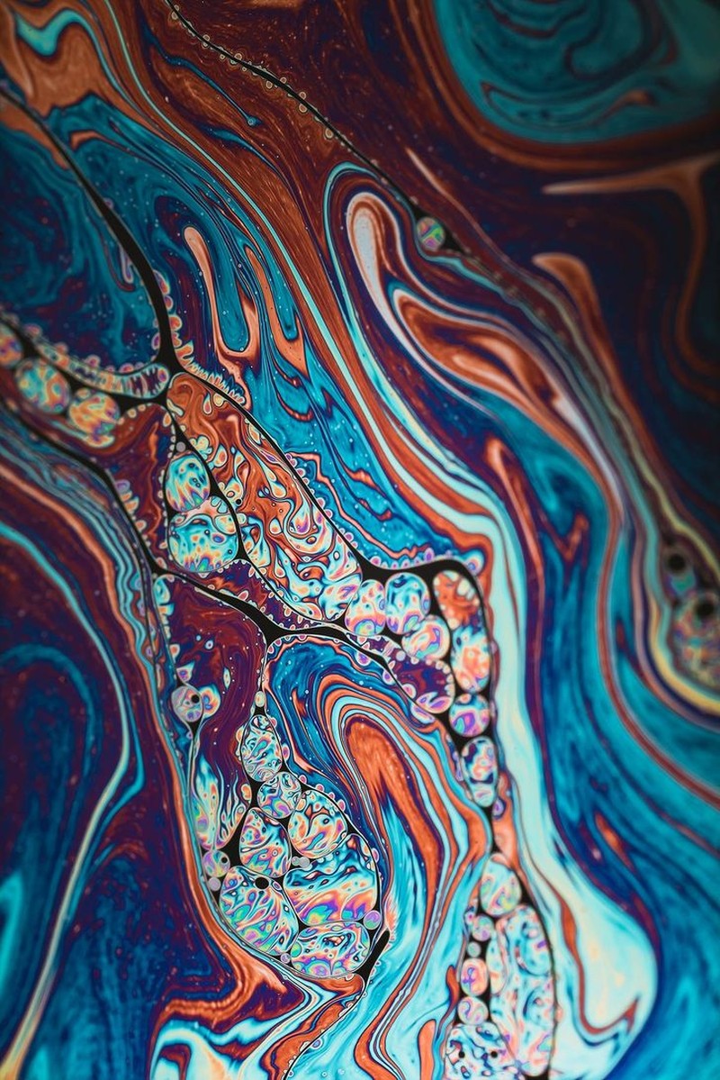 Foto Makro Mencengangkan