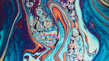 Gelembung sabung. Foto: Brightside