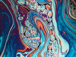 Bikin Mata Tercengang! Foto Makro Benda di Sekitar Kamu