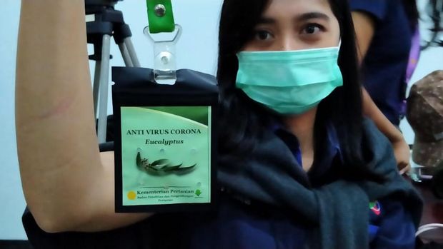 kalung eucalyptus kalung eucalyptus, kalung 'antivirus' Corona