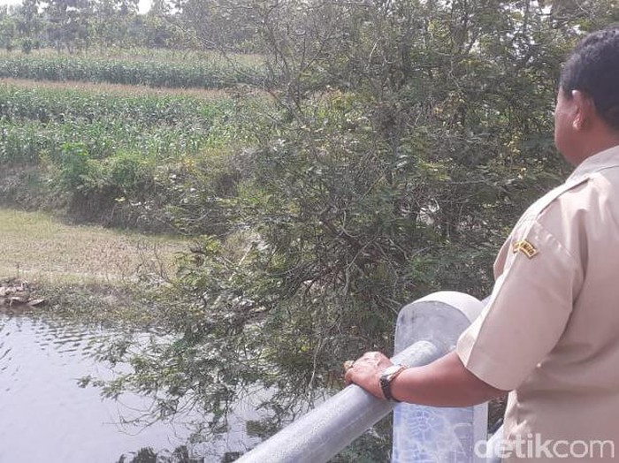 Kepala Desa Pare, Samdani, menunjukkan Embung Bontit lokasi penemuan dua jenglot di Sragen, Senin (6/7/2020).