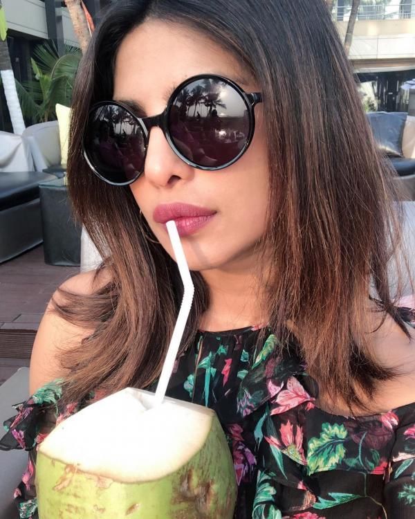Tropical green coconuts opened for the drinking water with straws.
