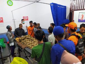 Hilang Diterkam Buaya, Nelayan Udang di Babel Ditemukan Tewas