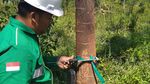 Pengembalian Fungsi Lahan Bekas Tambang