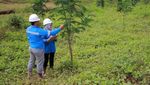 Pengembalian Fungsi Lahan Bekas Tambang